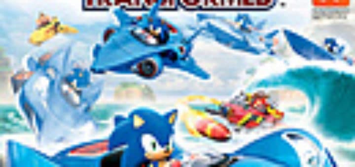 sonic riders pc 100 save file
